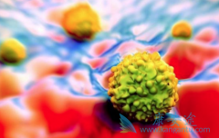 �ΰ����ڻ��о�������ܹ�����