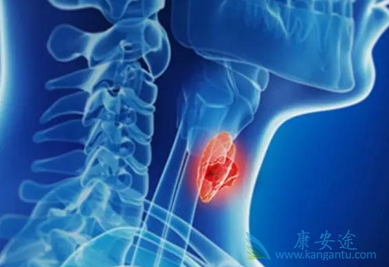 凡德他尼 凡德他尼