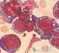 ԭ�����ݸ���Bϸ���ܰ������ٴ��ص㼰�����ص�