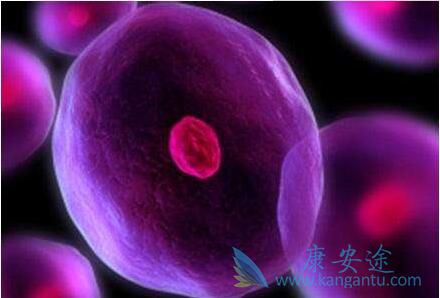 原发性纵隔大B细胞淋巴瘤 原发性纵隔大B细胞淋巴瘤