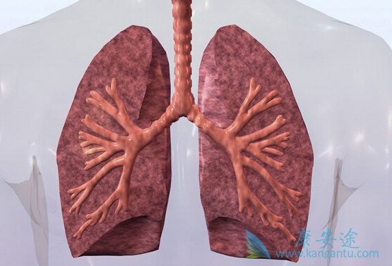 ����ŵ��