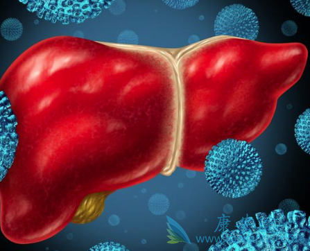 �������Ʒ���