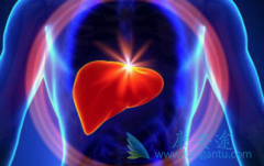 ������Ʊ����ܹ������ڱ��ε�����