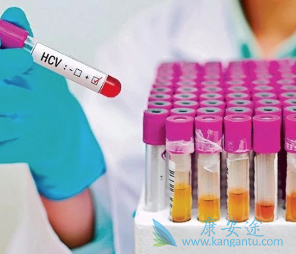 ������Ʊ���