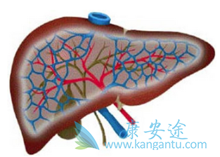 ���Ʊ��εķ���