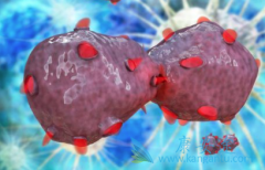 Ϊ�����ʲô�Ǳ��Σ������б��δ�Ⱦ��