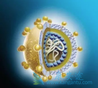 ���ε����Ʒ�������Щ�����Ա����������