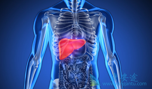 �༪����Ч