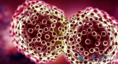 ӡ�ȸ�����/�׻�����������Ƭ�����ư�Ѫ������ʲô��Ч