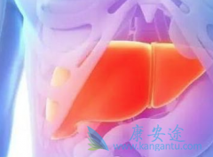 ���Ҹ���ȱ�����ʲô���������ο������ƺ���