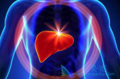 ������ʲô�����ο������ƺ����ǻ��߹��ĵ�����