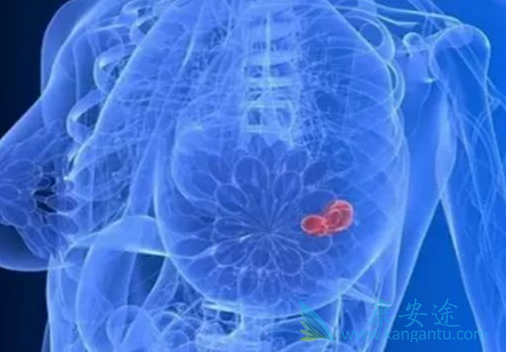 依西美坦 依西美坦