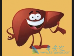 Ů�Ի���Ӧ�˽������ʲô�Լ������ܻ�����