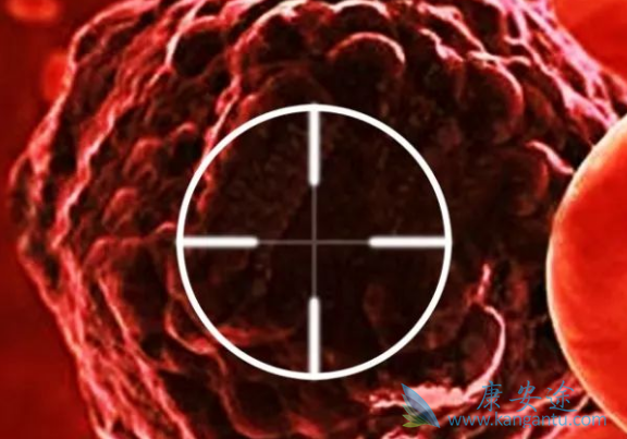 尼洛替尼 尼洛替尼