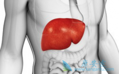 �в��������Ҹα��濹ԭ�����������