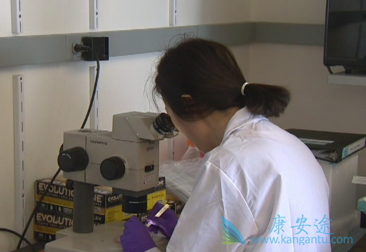 CARTϸ������