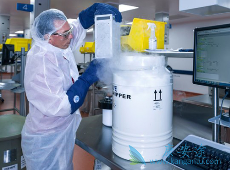 CARTϸ������