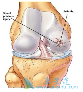 �෢�Թ�����֢״