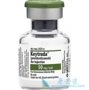 ��֢�����Ʒ�PD-1�����������߼������ҩ��