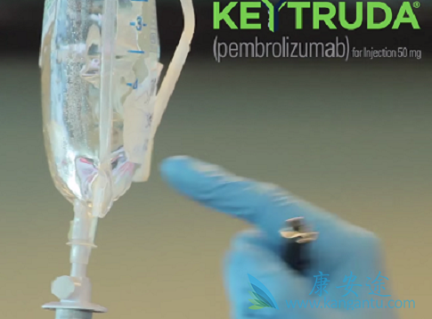 PD-1抑制剂 PD-1抑制剂