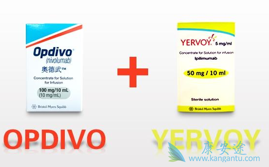 PD-1抗体 PD-1抗体