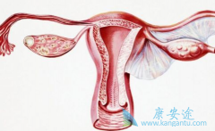 ����˹͡/��ά͡���ϻ����Ǹ�����LGS�ѳ�������Ч���Ʒ���