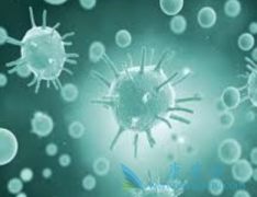 �����Ҹα��濹ԭ��������ν���������Ч��