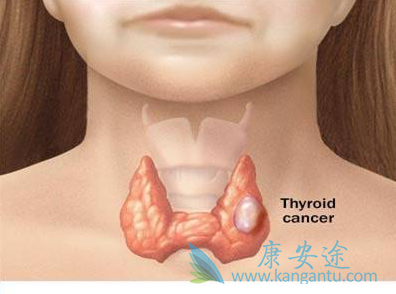 ��״�ٰ������ܻ���