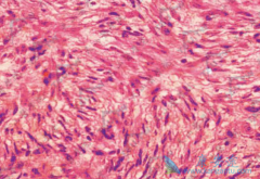 ��Щ��ͯ��ά�������߿��Գ��������᣿