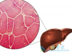 �����Ҹα��濹�����Ե�������Դ�������