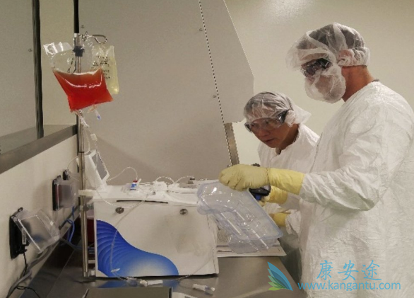 CARTϸ���Ʒ�