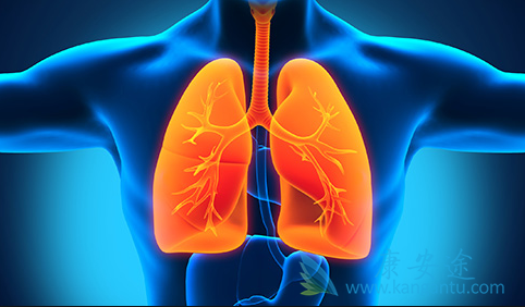 �ΰ�����������