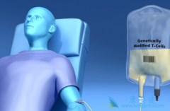 CARTϸ���Ʒ�������ʵ�����������򷢻���Ҫ����