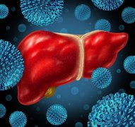 �Ҹβ�����ʲô���Ҹβ�������Щ����;����