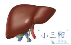 �Ҹ�С����Ҳ�����֮�֣�����ж��Ҹ�С���������Ǽ٣�