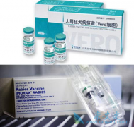 �������������Ȯ����������¼���˵��������Ǽٵ���