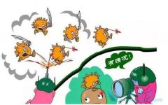 ��ϸ�˽��ҸεĴ���;������Щ