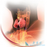 ��������(AFATINIB)�ɸ���ͷ��������������������������