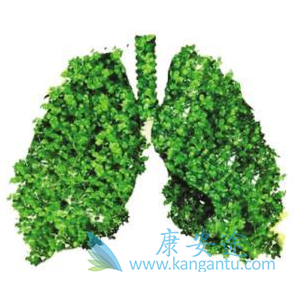 ��ϣ����