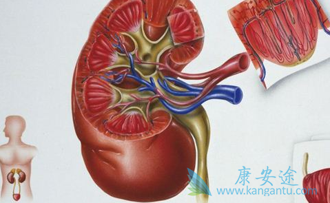 舒尼替尼 舒尼替尼