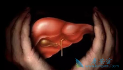 ���ײ�Τ/���ǲ�Τ����ά����Τ���κø��������Ա��λ�����