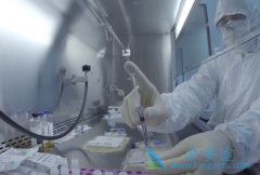 CARTϸ����������������������ȡ���˲����ĳɼ�