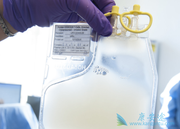 CARTϸ������