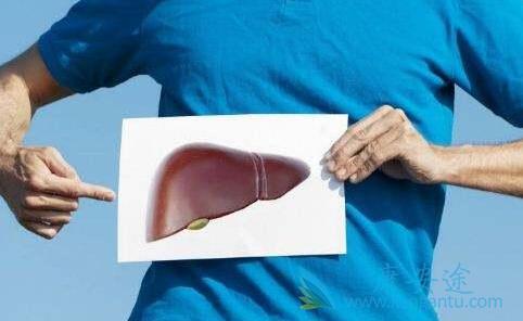 丙肝抗体 丙肝抗体