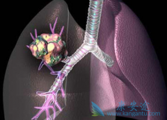  ʲô���ķ��۰������ʺ��������⣿ 