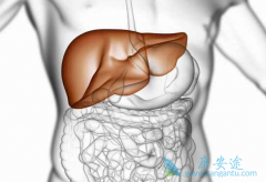 ������/��ά��������κñ������κú󻹻Ḵ����