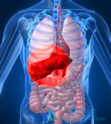 FDA���޸�����ŵ��Τ�����Ӱ�(Vemlidy)��ǩ�е���Щ����