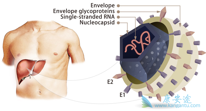 ���͸���