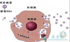 ��������֢״������������ļ�������