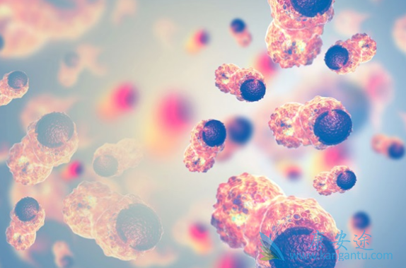 ���Թ����԰�Ѫ��